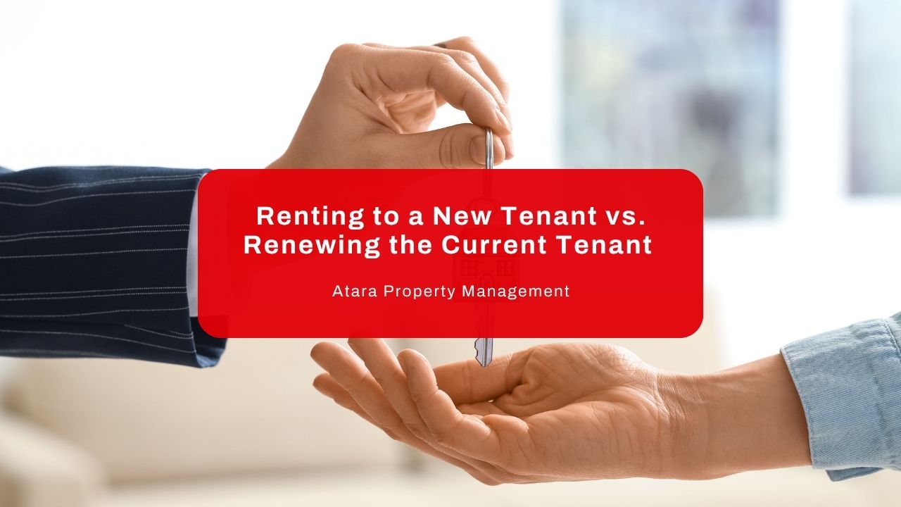 Renting to a New Tenant vs. Renewing the Current Tenant